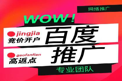 成功案例分享：托管竞价SEM优化策略